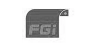 fgi.webp